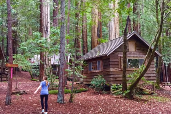 Travel: Camp Liahona Redwoods