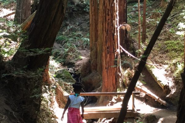 Day at Muir Woods and Muir Beach